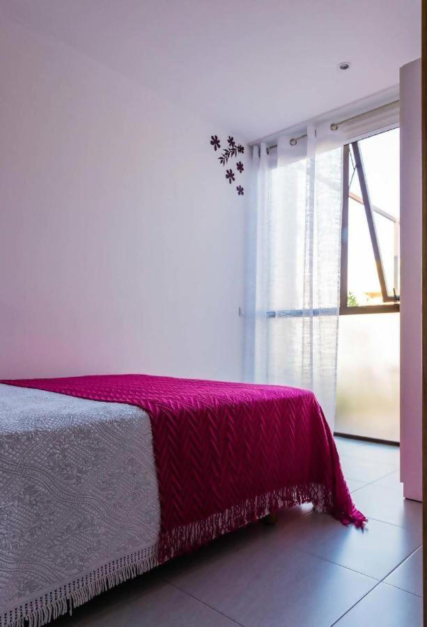 Casa Rural Vina Vella Эстейро Экстерьер фото